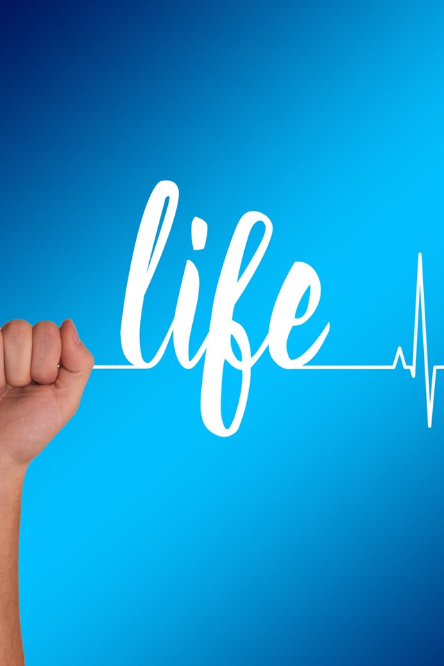 Vitamin K and your Daily Life